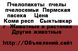 Пчелопакеты, пчелы, пчелосемьи (Пермская пасека) › Цена ­ 5 000 - Коми респ., Сыктывкар г. Животные и растения » Другие животные   
